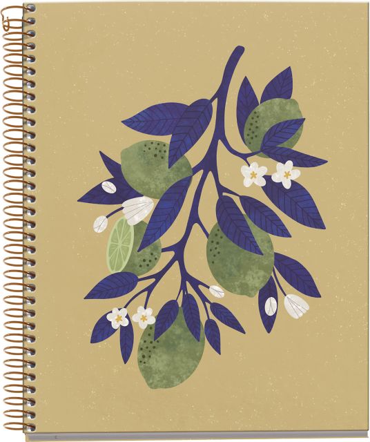 NTBK ECOLEMON BRANCH 4S 120 SM