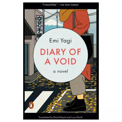 Diary of a Void: A Novel