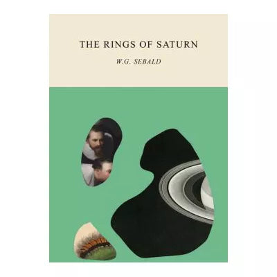 Rings of Saturn