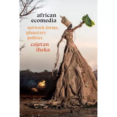 African Ecomedia
