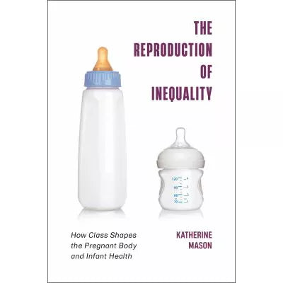 Reproduction of Inequality
