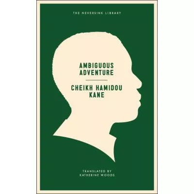 Ambiguous Adventure